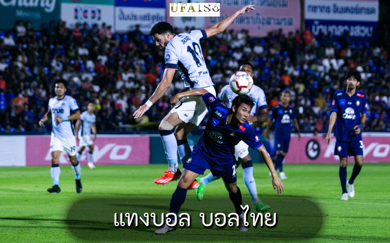 แทงบอล บอลไทย