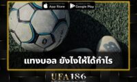 แทงบอล ยังไงให้ได้กำไร